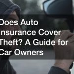 car theft
